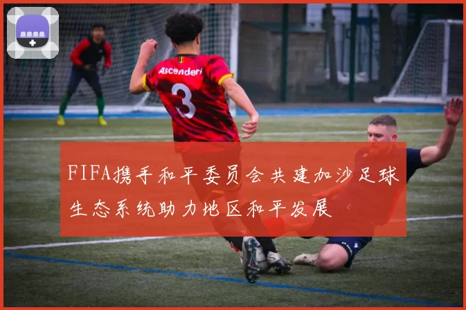 FIFA携手和平委员会共建加沙足球生态系统助力地区和平发展