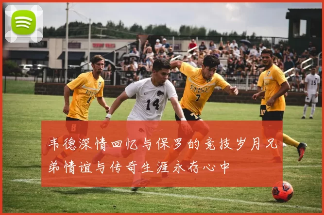 韦德深情回忆与保罗的竞技岁月兄弟情谊与传奇生涯永存心中