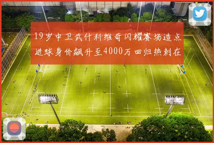 19岁中卫武什科维奇闪耀赛场造点进球身价飙升至4000万回归热刺在即